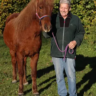 Vorschaubild Nr. 1 zu Reitbeteiligung in 8133 Esslingen