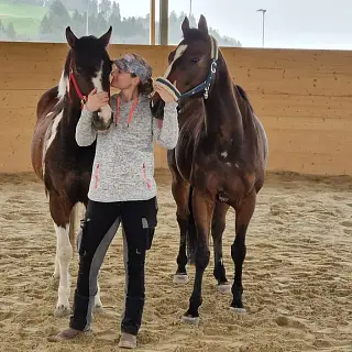 Vorschaubild Nr. 2 zu Reitbeteiligung in 4564 Zielebach