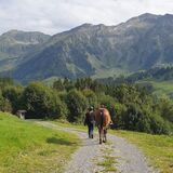 Vorschaubild Nr. 1 zu Reitbeteiligung in 6173 Flühli LU