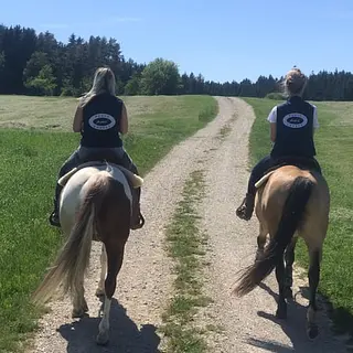 Vorschaubild Nr. 1 zu Reitbeteiligung in 8243 Altdorf SH