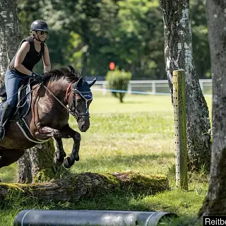 Vorschaubild Nr. 1 zu Reitbeteiligung in 3376 Berken