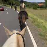 Vorschaubild Nr. 1 zu Reitbeteiligung in 9546 Tuttwil