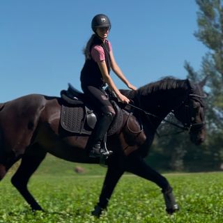 Vorschaubild Nr. 1 zu Reitbeteiligung in 8583 Sulgen