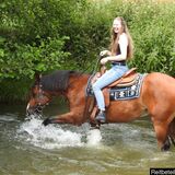 Vorschaubild Nr. 2 zu Reitbeteiligung in 8172 Niederglatt ZH