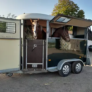 Vorschaubild Nr. 2 zu Reitbeteiligung in 3122 Kehrsatz